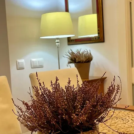 Atico Al Lado Del Ayuntamiento Apartment